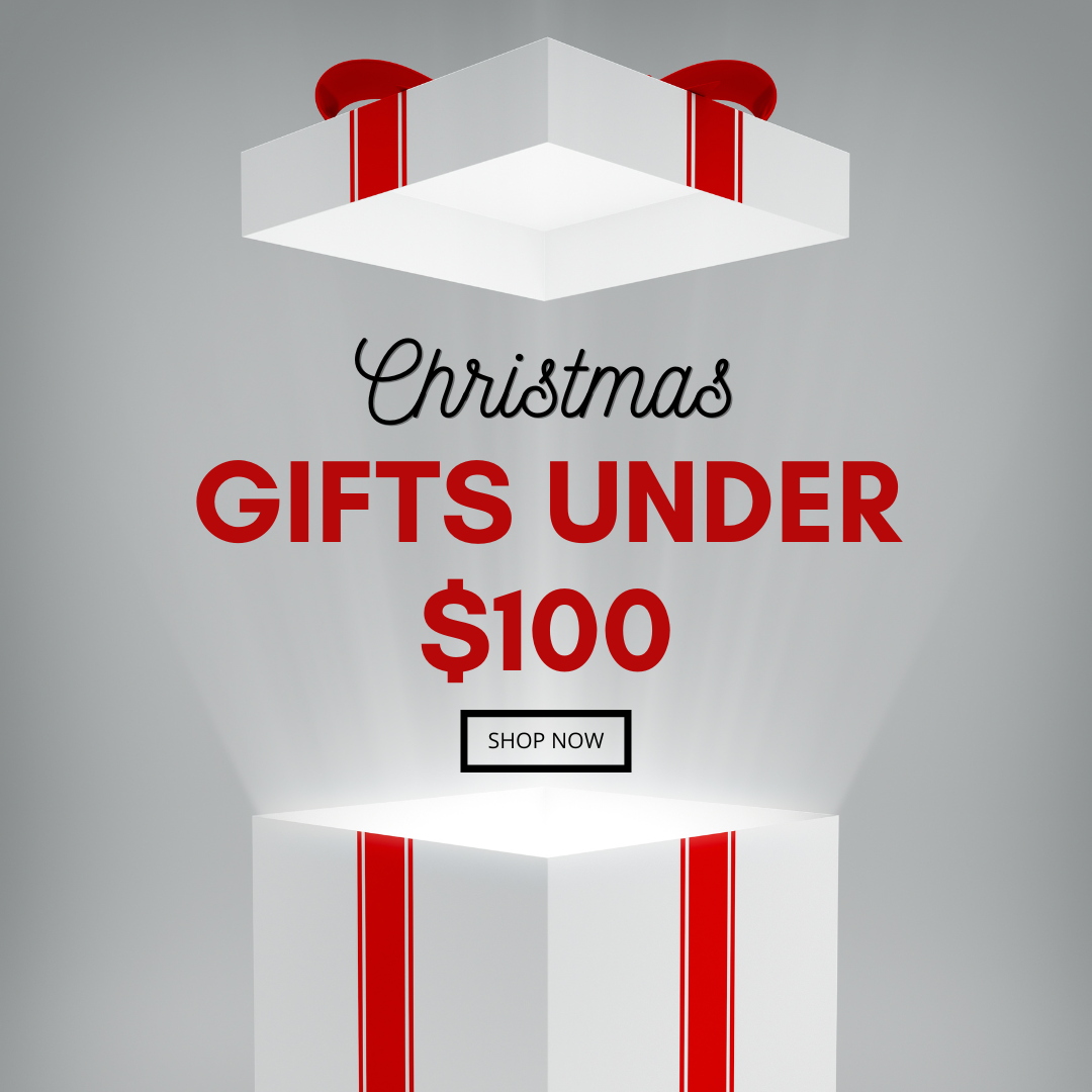Christmas Gifts under $100