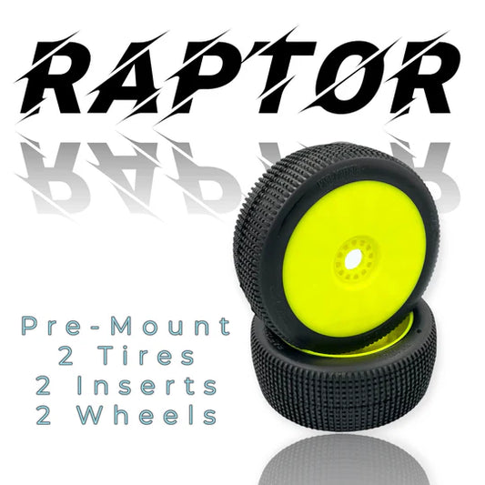 Pro-Motion Raptor 8th Scale Buggy Pre-Mount