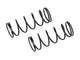 13mm Front Springs, L54, 1.3D, For RC10T6.4, RC10SC6.4